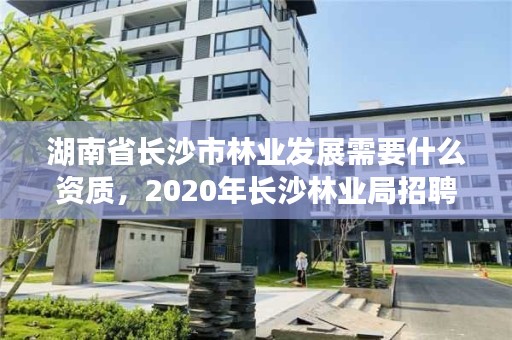 湖南省长沙市林业发展需要什么资质，2020年长沙林业局招聘公告