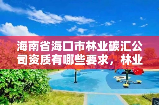 海南省海口市林业碳汇公司资质有哪些要求，林业碳汇项目审定和核证指南