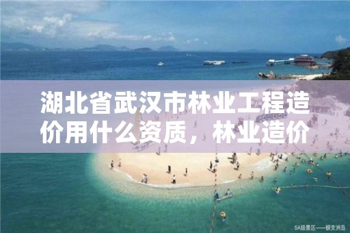 湖北省武汉市林业工程造价用什么资质，林业造价定额