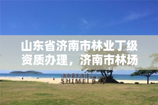 山东省济南市林业丁级资质办理，济南市林场是什么级别的