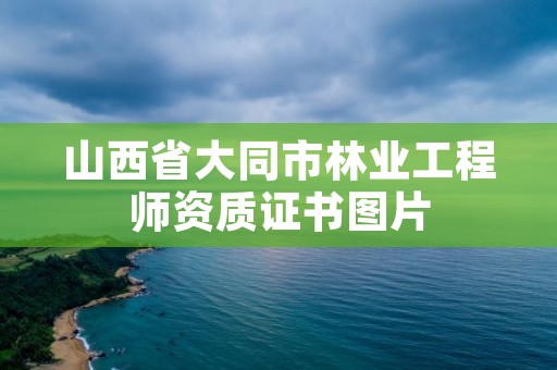 详细阅读:山西省大同市林业工程师资质证书图片 山西省大同市林业工程师资质证书图片