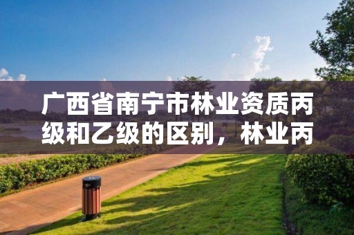 广西省南宁市林业资质丙级和乙级的区别,林业丙级资质业务范围