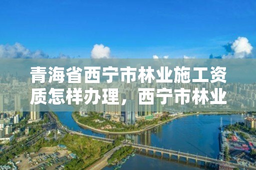 青海省西宁市林业施工资质怎样办理，西宁市林业管理条例