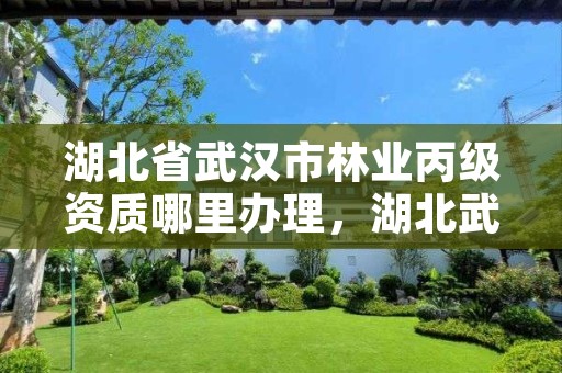 湖北省武汉市林业丙级资质哪里办理，湖北武汉林业局电话号码
