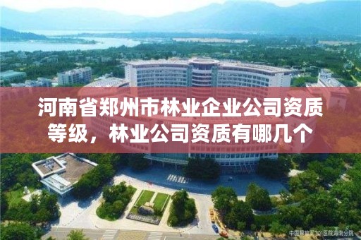 河南省郑州市林业企业公司资质等级,林业公司资质有哪几个
