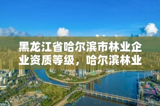 黑龙江省哈尔滨市林业企业资质等级，哈尔滨林业局管辖范围