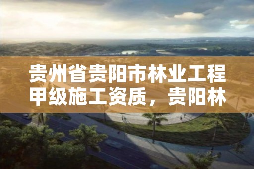 贵州省贵阳市林业工程甲级施工资质,贵阳林业公司