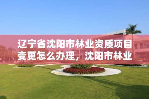 辽宁省沈阳市林业资质项目变更怎么办理，沈阳市林业建设保护条例