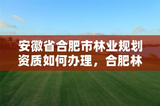 安徽省合肥市林业规划资质如何办理，合肥林业部门