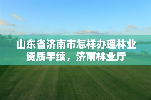 山东省济南市怎样办理林业资质手续,济南林业厅