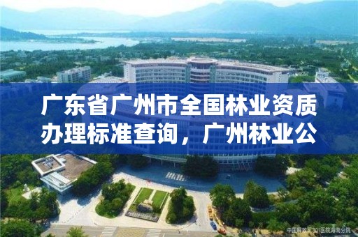 广东省广州市全国林业资质办理标准查询，广州林业公司