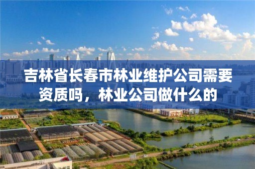 吉林省长春市林业维护公司需要资质吗,林业公司做什么的