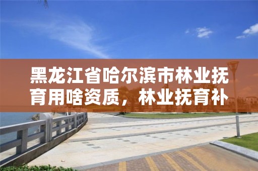黑龙江省哈尔滨市林业抚育用啥资质，林业抚育补助款