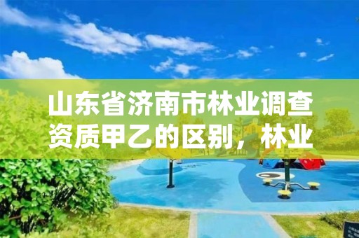 山东省济南市林业调查资质甲乙的区别，林业调查乙级资质证书