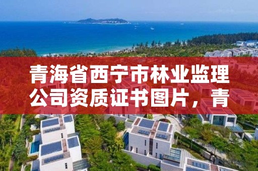 青海省西宁市林业监理公司资质证书图片，青海林业工程监理中心