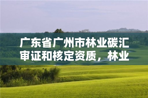 广东省广州市林业碳汇审证和核定资质，林业碳汇怎么认证