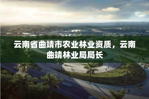 云南省曲靖市农业林业资质，云南曲靖林业局局长