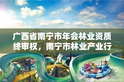 广西省南宁市年会林业资质终审权，南宁市林业产业行业协会