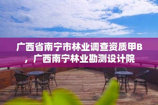 广西省南宁市林业调查资质甲B，广西南宁林业勘测设计院