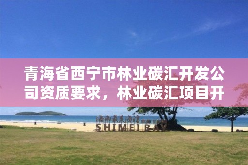 青海省西宁市林业碳汇开发公司资质要求，林业碳汇项目开发现状与前景分析