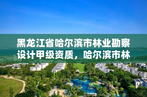 黑龙江省哈尔滨市林业勘察设计甲级资质,哈尔滨市林业设计院
