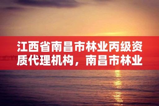 江西省南昌市林业丙级资质代理机构，南昌市林业投资发展有限公司