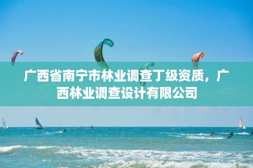 广西省南宁市林业调查丁级资质，广西林业调查设计有限公司