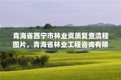 青海省西宁市林业资质复查流程图片，青海省林业工程咨询有限公司