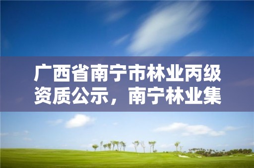 广西省南宁市林业丙级资质公示,南宁林业集团地址