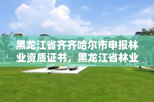黑龙江省齐齐哈尔市申报林业资质证书,黑龙江省林业资源