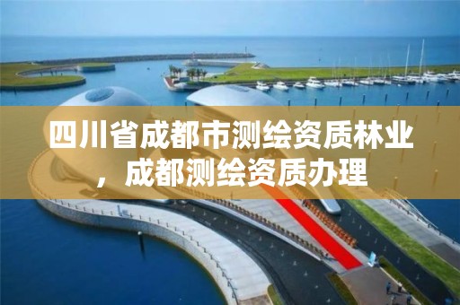 四川省成都市测绘资质林业，成都测绘资质办理
