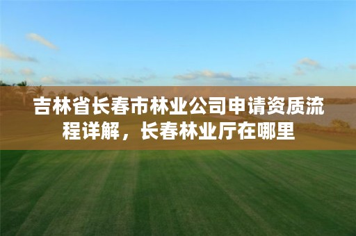 吉林省长春市林业公司申请资质流程详解，长春林业厅在哪里