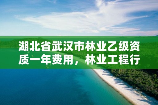 湖北省武汉市林业乙级资质一年费用，林业工程行业资质