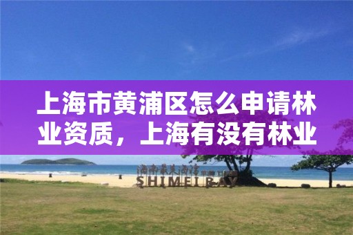 上海市黄浦区怎么申请林业资质，上海有没有林业局