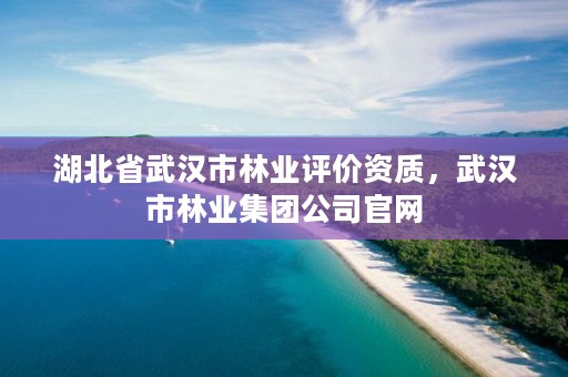 湖北省武汉市林业评价资质，武汉市林业集团公司官网