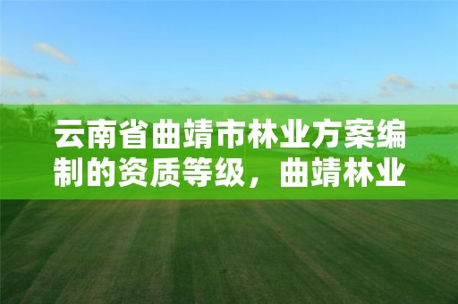 云南省曲靖市林业方案编制的资质等级，曲靖林业公司