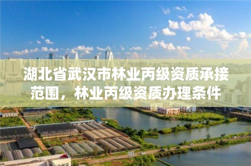 湖北省武汉市林业丙级资质承接范围，林业丙级资质办理条件