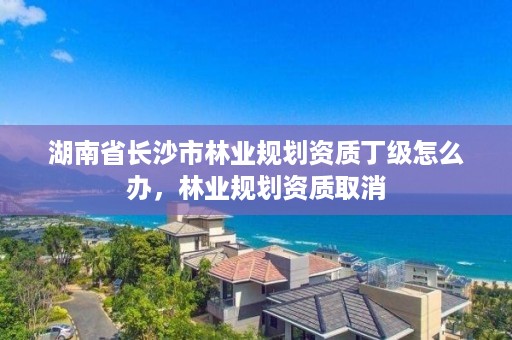 湖南省长沙市林业规划资质丁级怎么办，林业规划资质取消