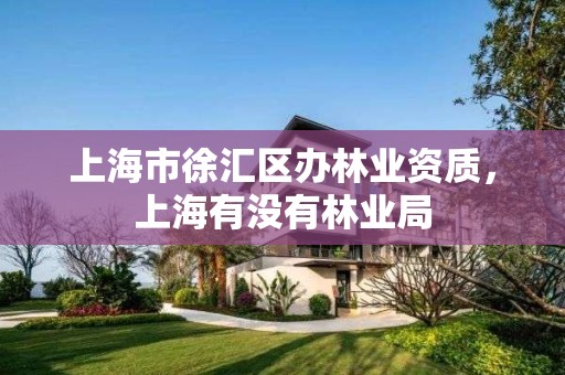 上海市徐汇区办林业资质，上海有没有林业局