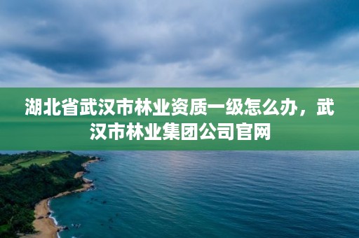 湖北省武汉市林业资质一级怎么办，武汉市林业集团公司官网