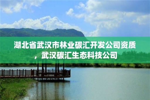 湖北省武汉市林业碳汇开发公司资质，武汉碳汇生态科技公司