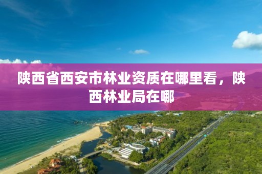 陕西省西安市林业资质在哪里看，陕西林业局在哪