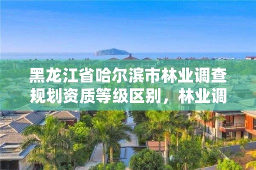 黑龙江省哈尔滨市林业调查规划资质等级区别，林业调查设计规划资质管理规定告