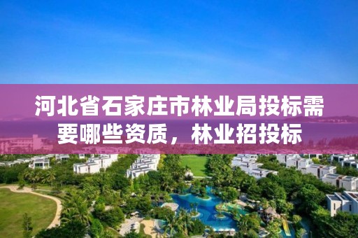 河北省石家庄市林业局投标需要哪些资质，林业招投标