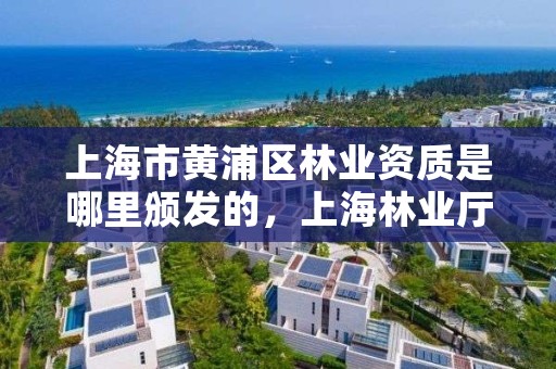 上海市黄浦区林业资质是哪里颁发的，上海林业厅