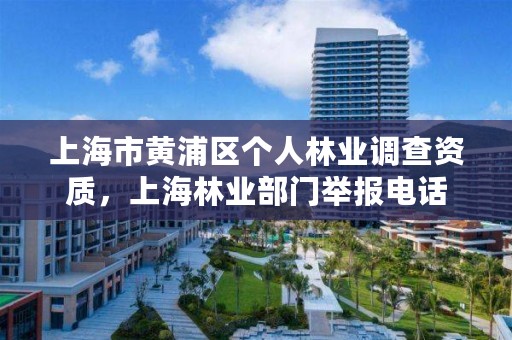上海市黄浦区个人林业调查资质，上海林业部门举报电话