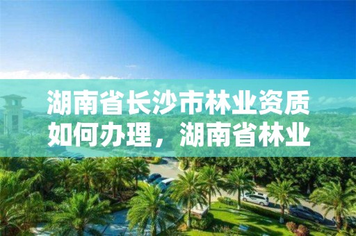 湖南省长沙市林业资质如何办理，湖南省林业局在长沙哪个区