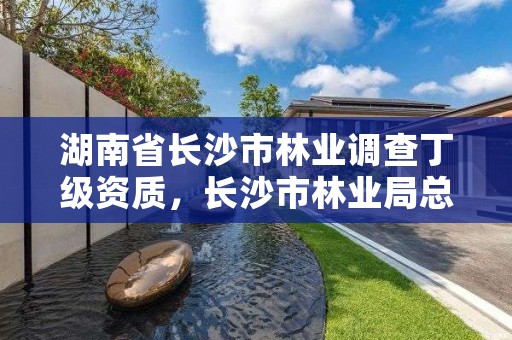 湖南省长沙市林业调查丁级资质，长沙市林业局总工程师