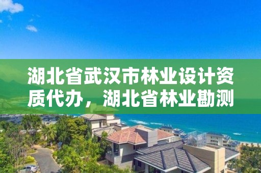 湖北省武汉市林业设计资质代办，湖北省林业勘测设计院