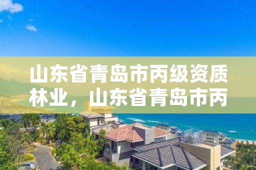 山东省青岛市丙级资质林业，山东省青岛市丙级资质林业公司名单